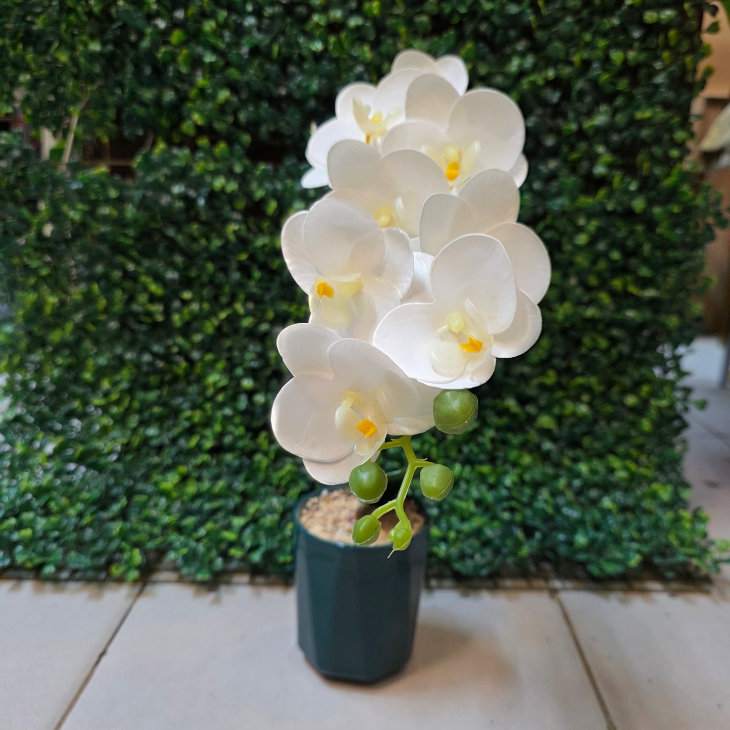 Small Orchid Stick in Ceremic Pot