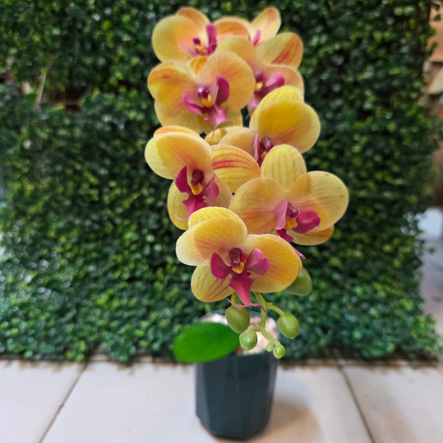 Small Orchid Stick in Ceremic Pot