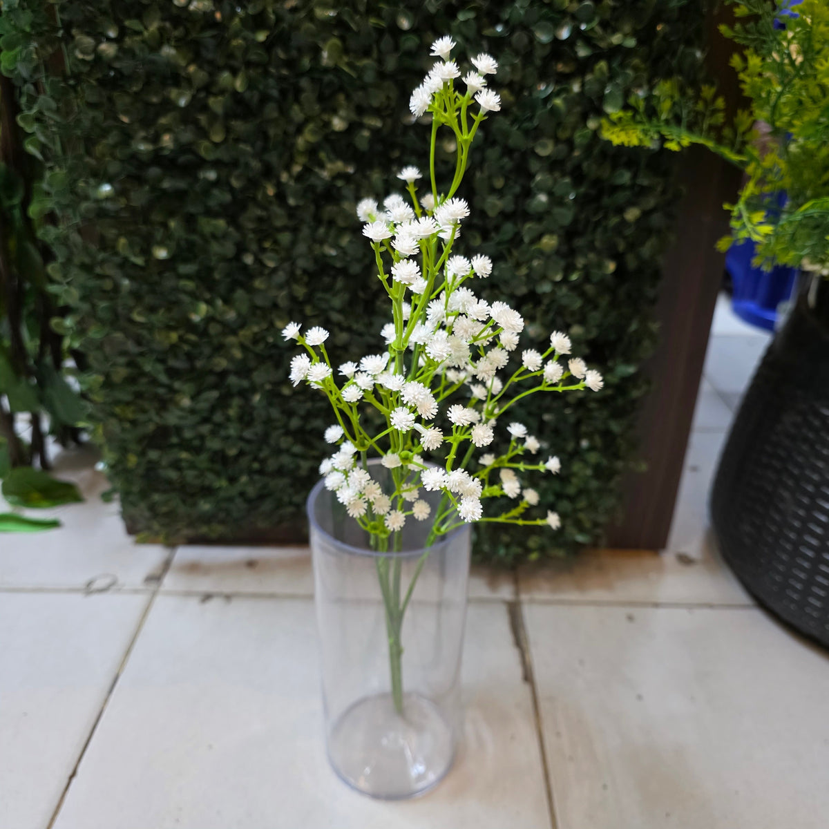 Gypso Sticks