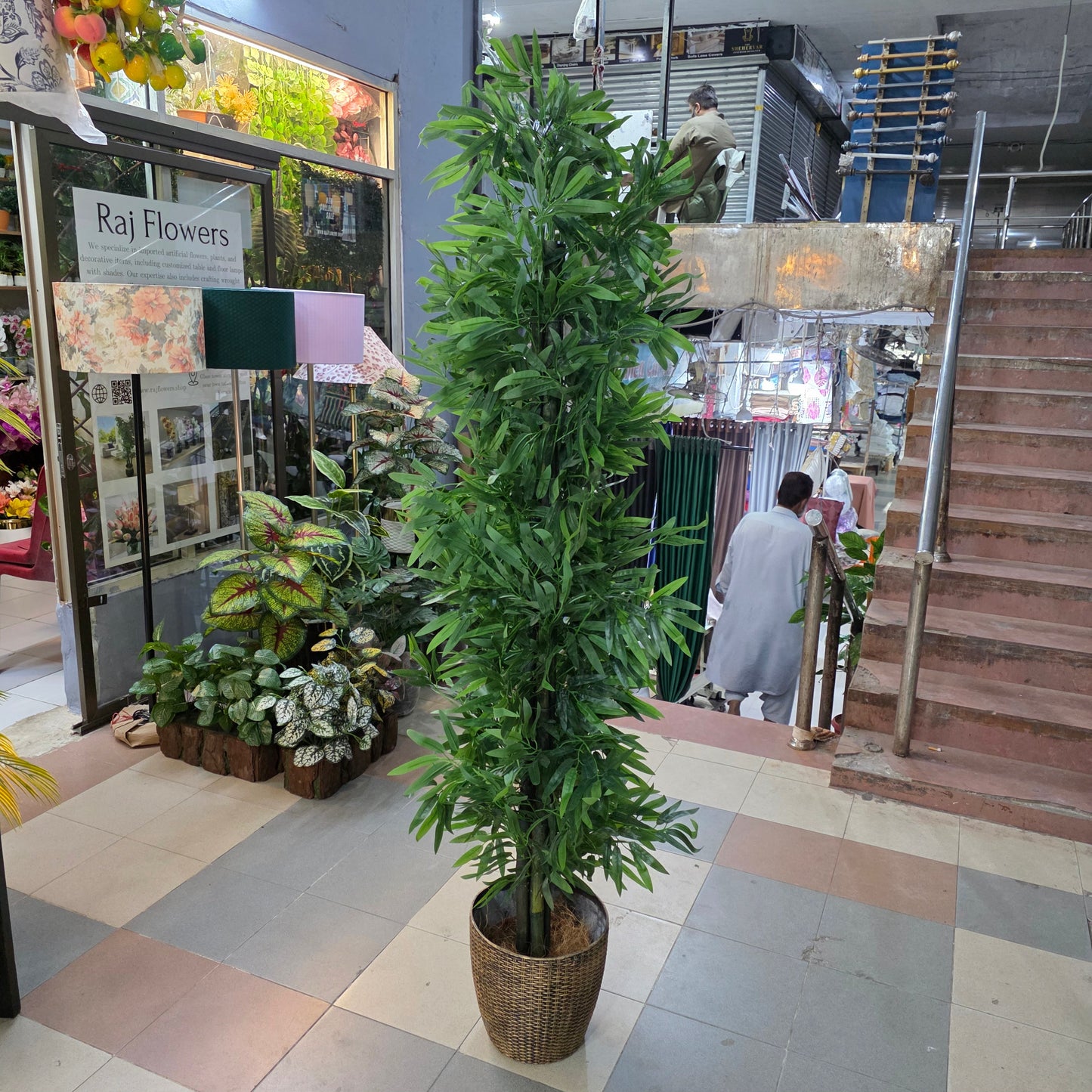 Bamboo Plant with pot 7ft