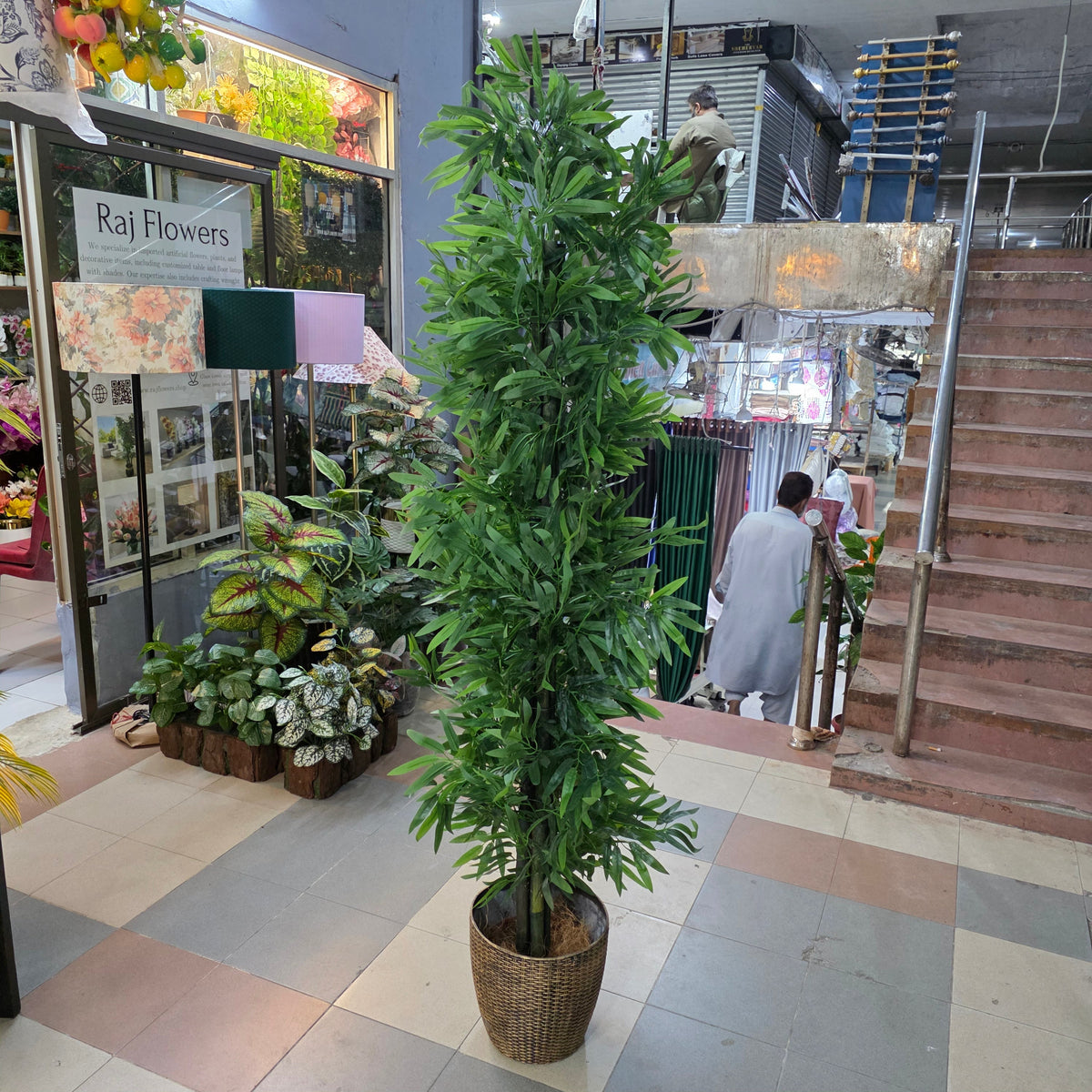 Bamboo Plant with pot 7ft