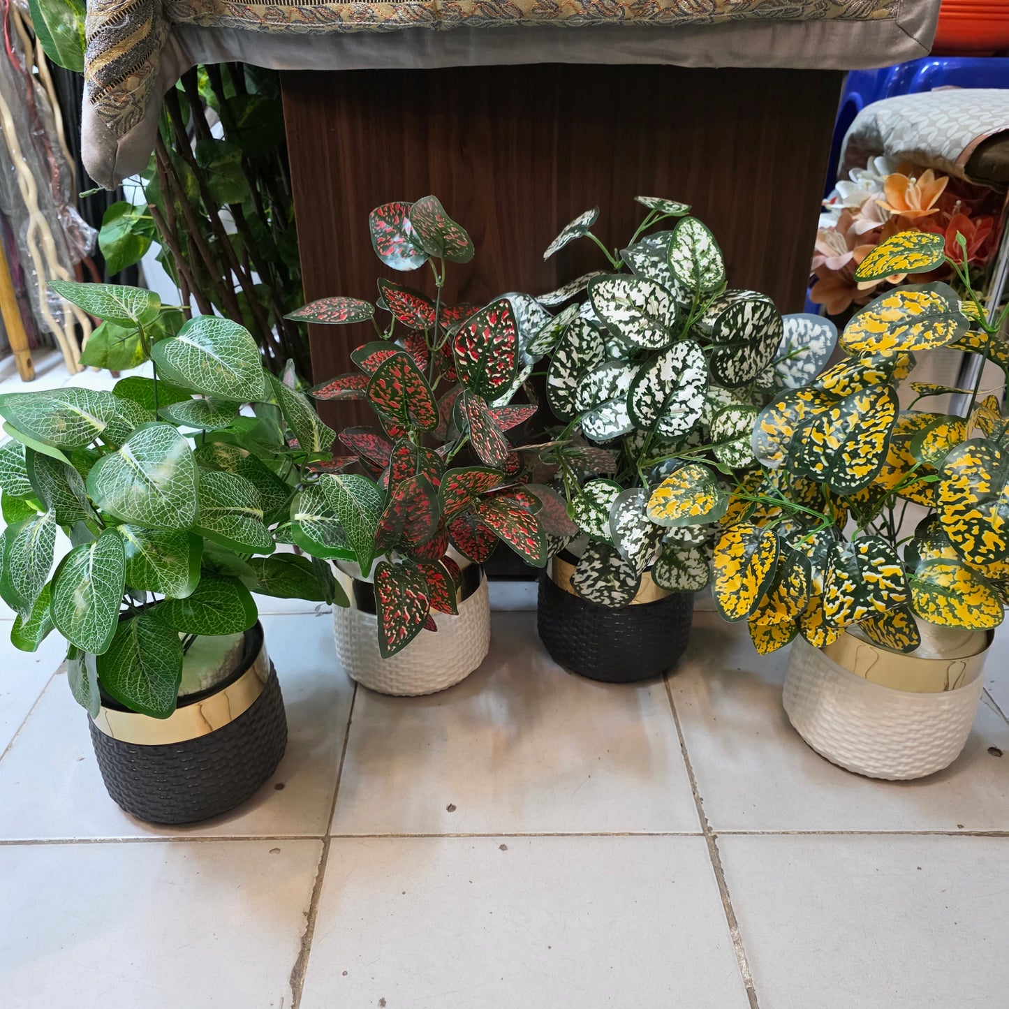 Rubber Leaves Pot 1.5ft