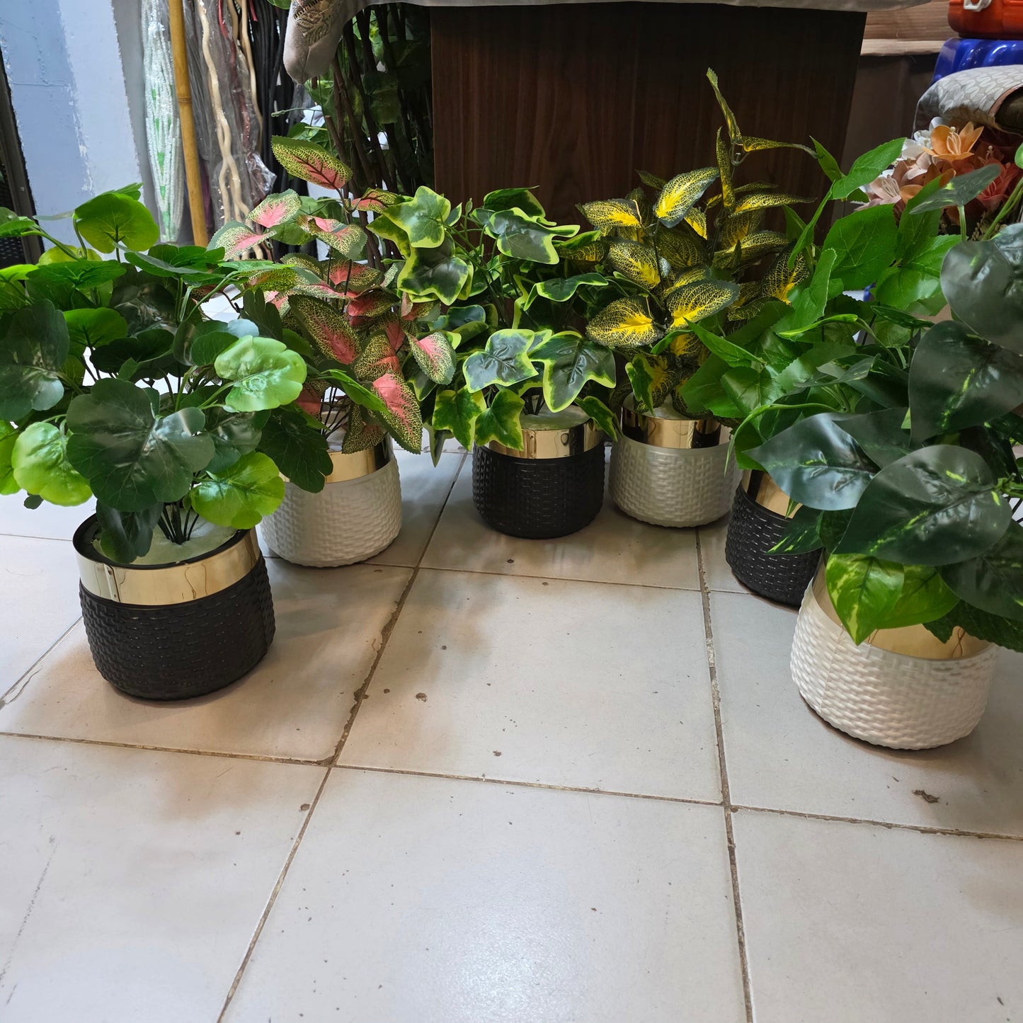 Rubber Leaves Pot 1.5ft