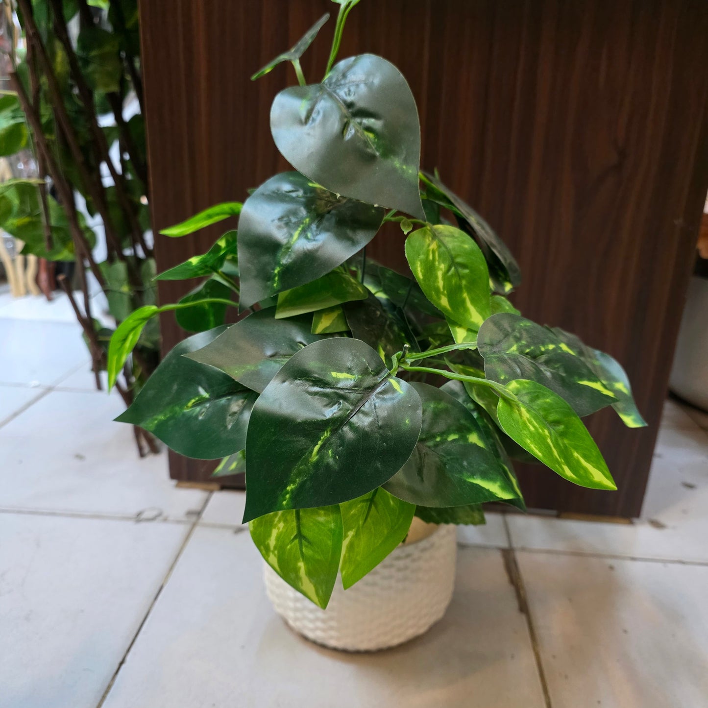 Rubber Leaves Pot 1.5ft