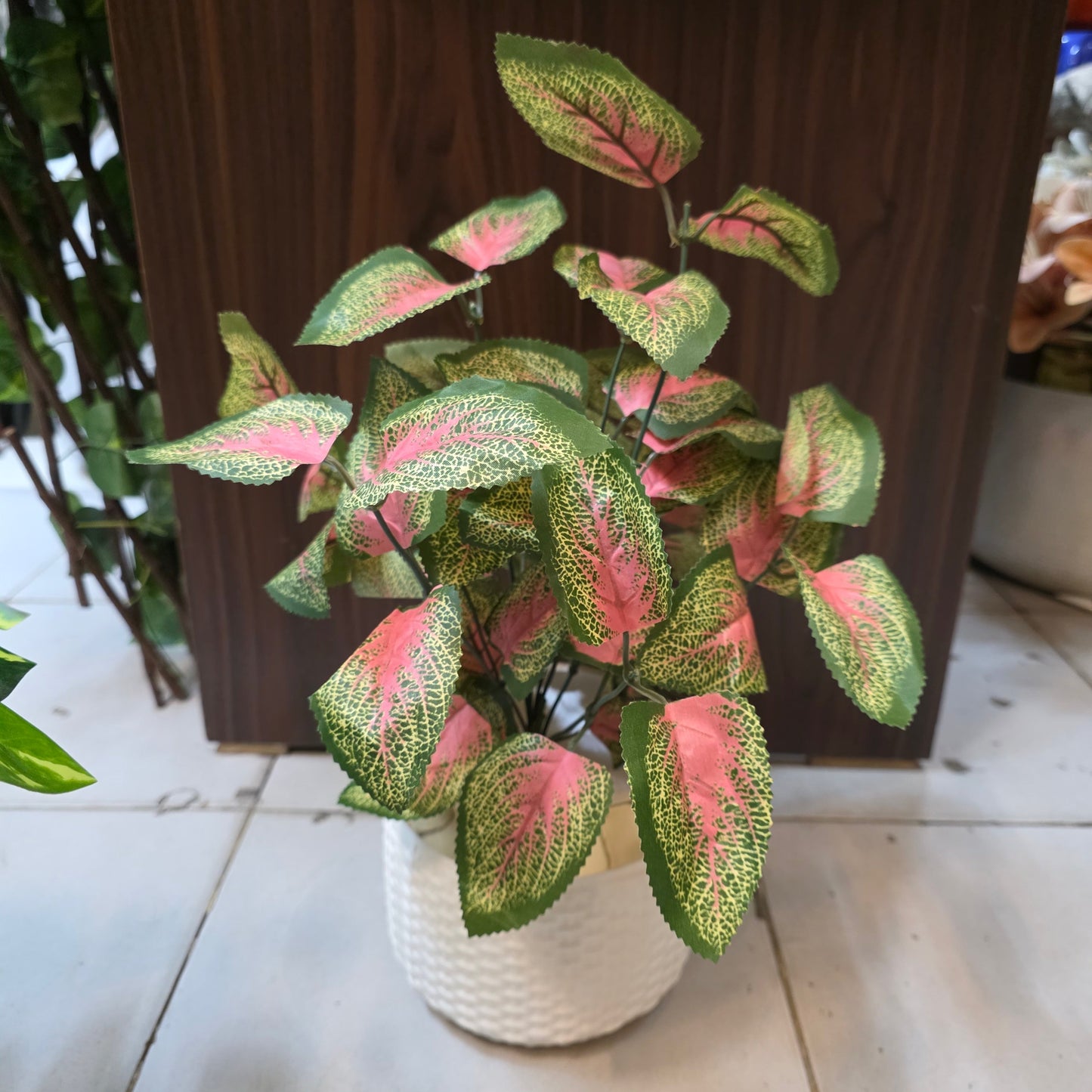 Rubber Leaves Pot 1.5ft