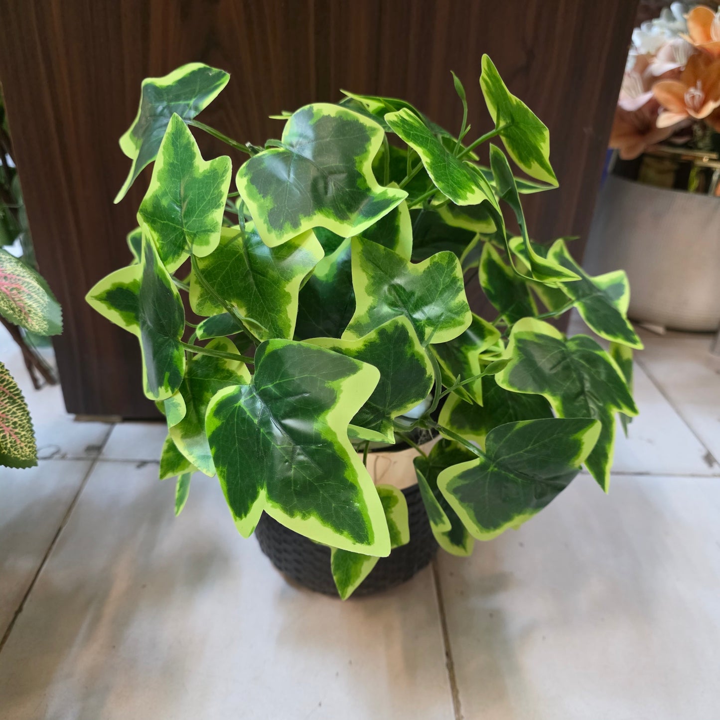 Rubber Leaves Pot 1.5ft