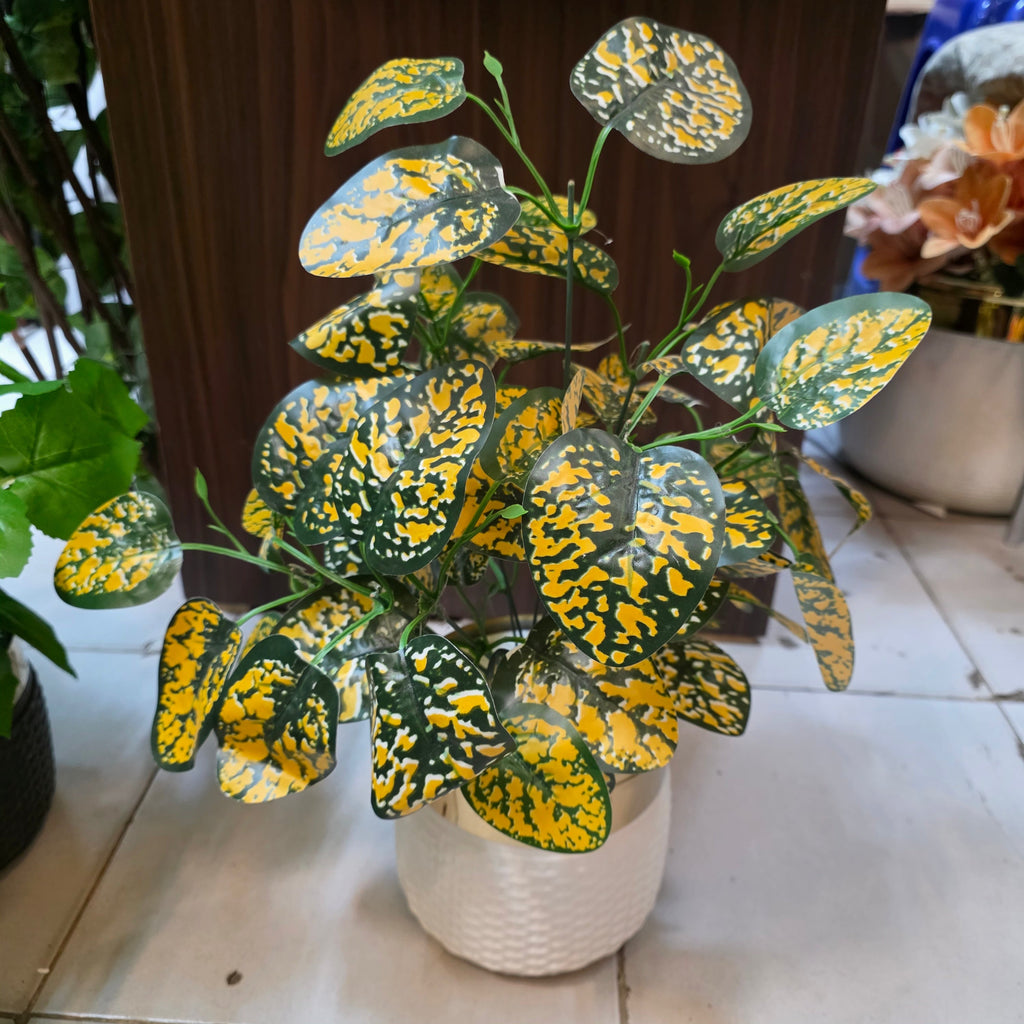 Rubber Leaves Pot 1.5ft