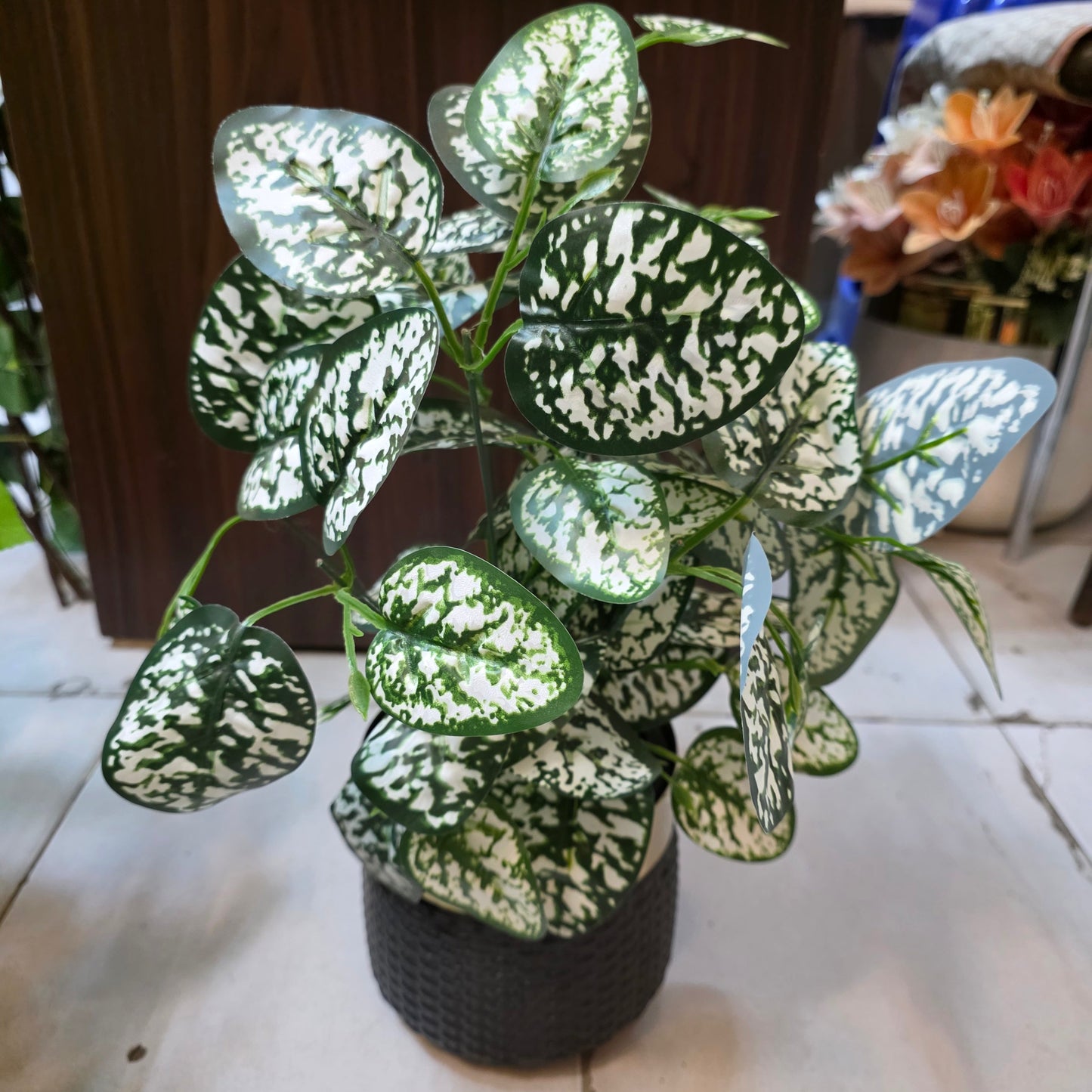 Rubber Leaves Pot 1.5ft