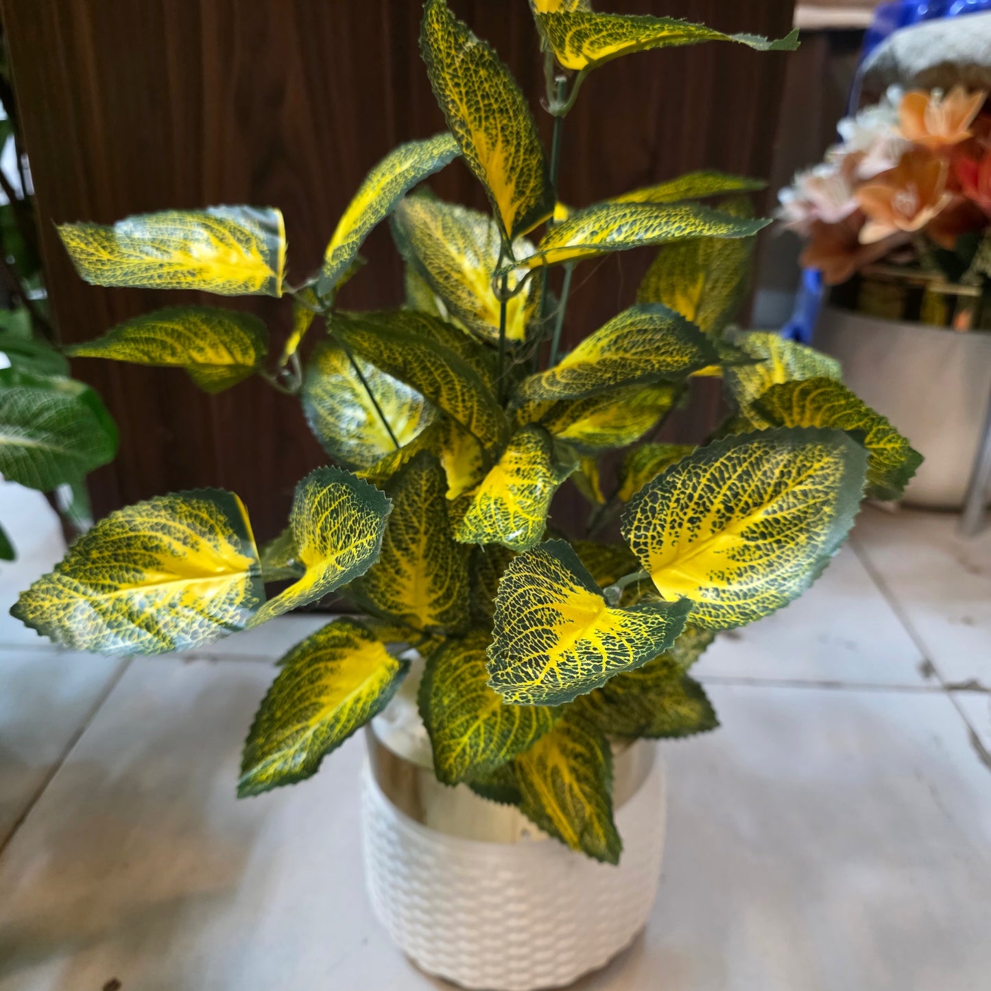 Rubber Leaves Pot 1.5ft