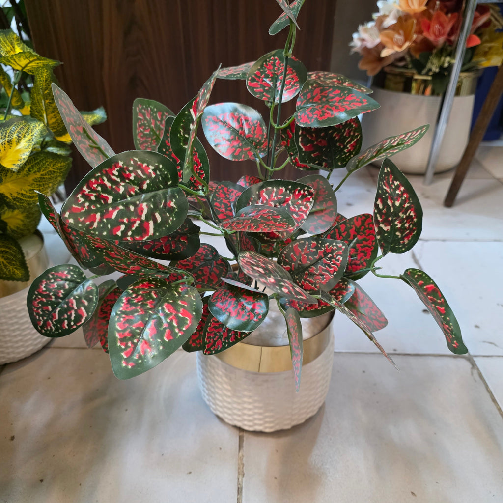 Rubber Leaves Pot 1.5ft