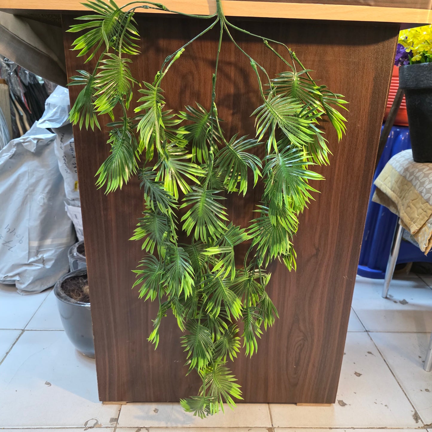 Premium Monstera Hanging Creeper