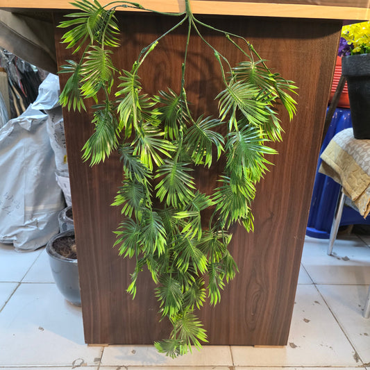 Premium Monstera Hanging Creeper