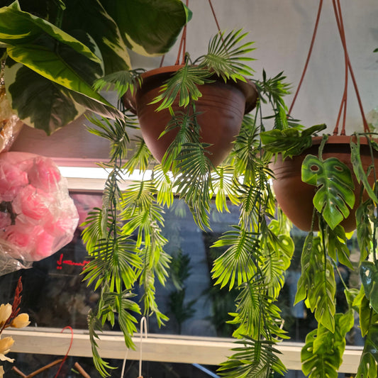 Premium Palm Hanging Creeper