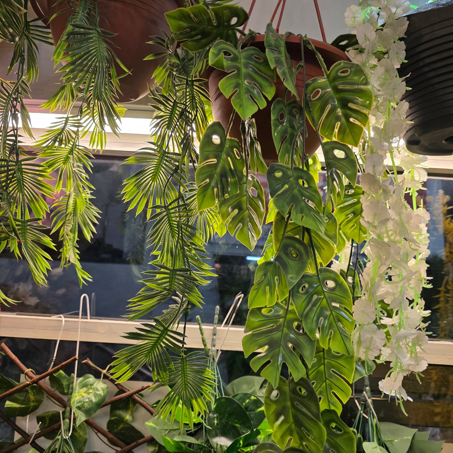 Premium Monstera Hanging Creeper