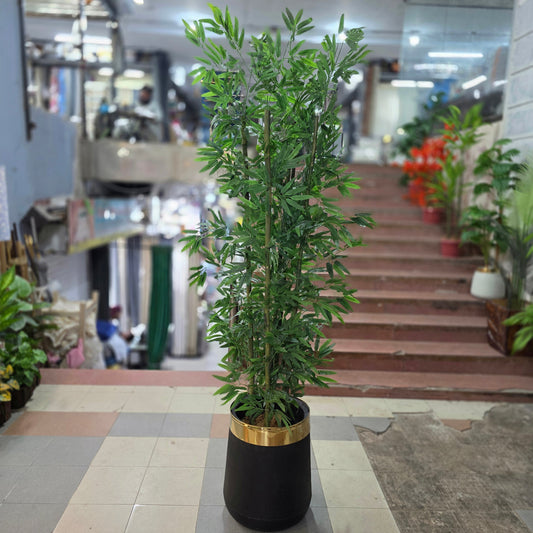 Bamboo Plant with pot 7ft