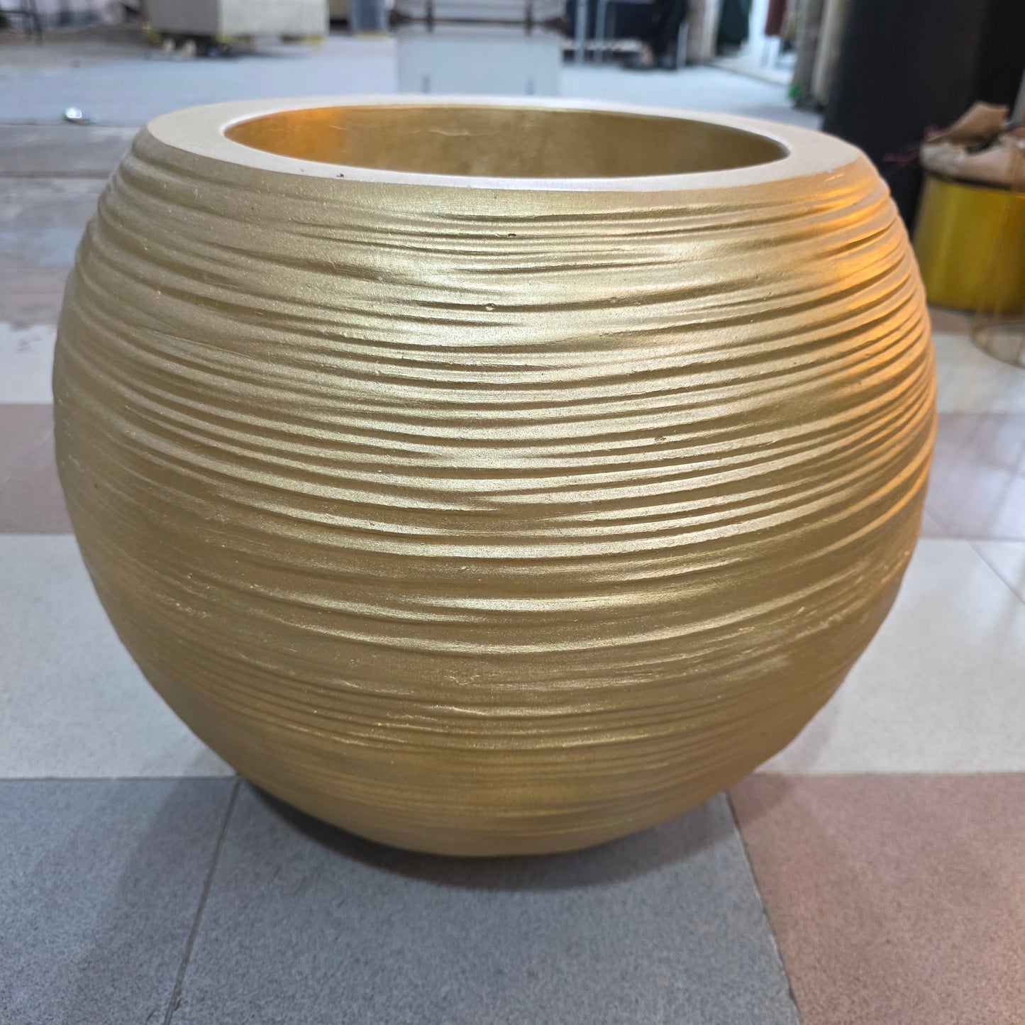 Dwarf Umbrella Plant (5ft)