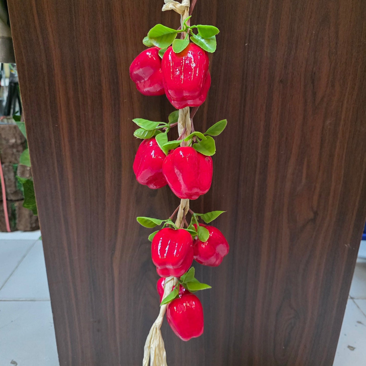 Hanging Vegetable Vine