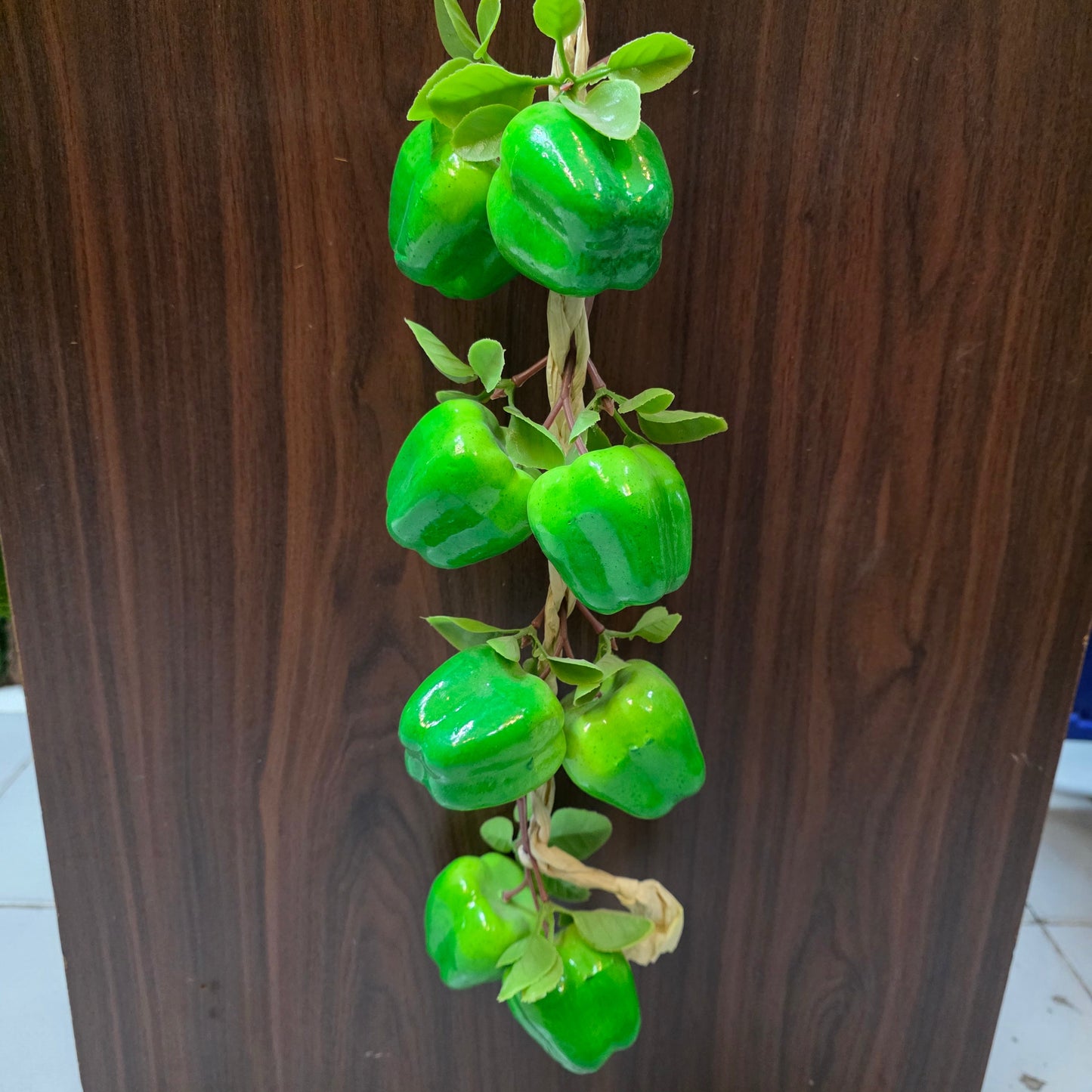 Hanging Vegetable Vine