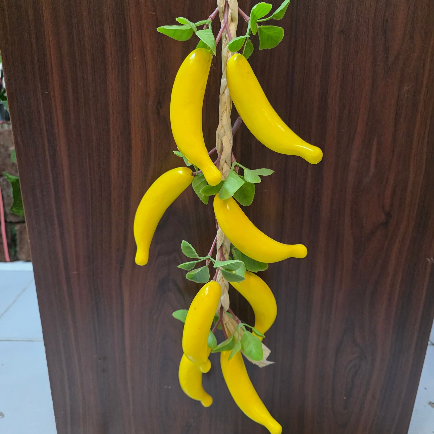 Hanging Fruit Vine