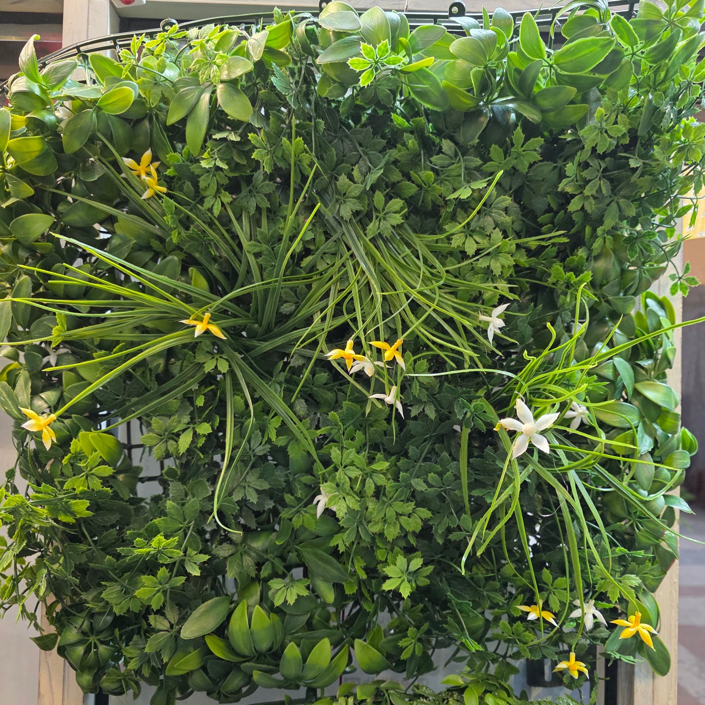 Premium Garden Wall Mat 1.5ft