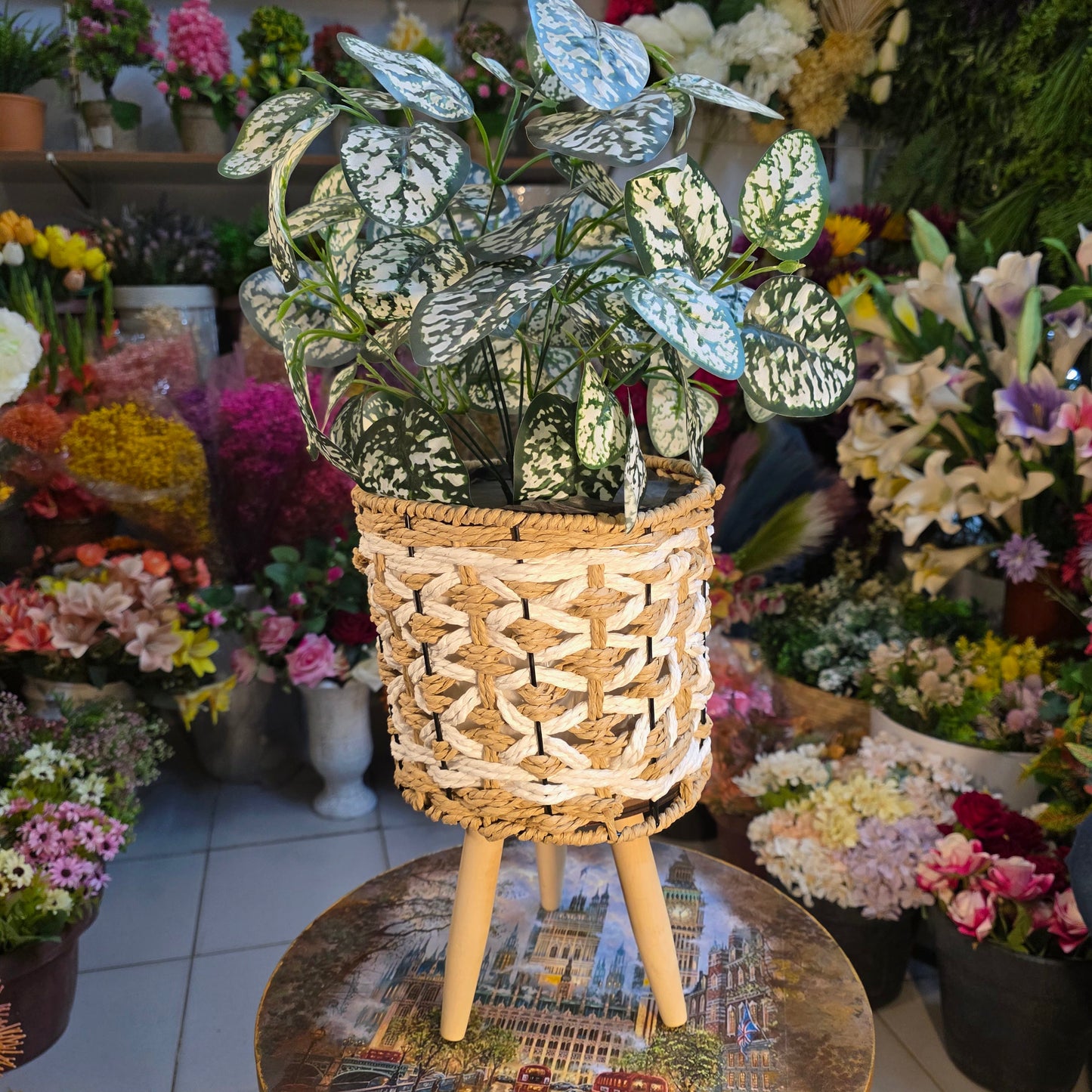 Two-Tone Cane Tripod Stand