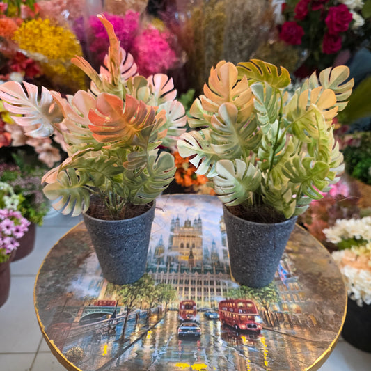 Monstera Leaves Filler Pot