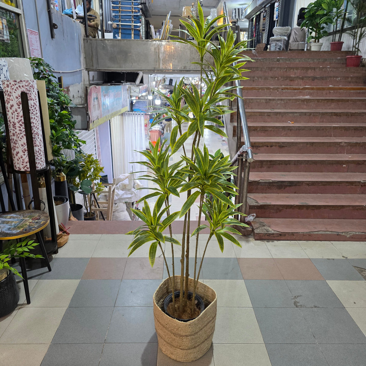 Premium 5.5ft Artificial Dracaena Plant