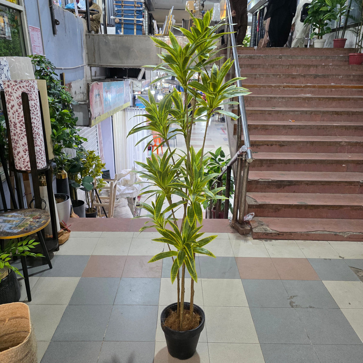 Premium 5.5ft Artificial Dracaena Plant