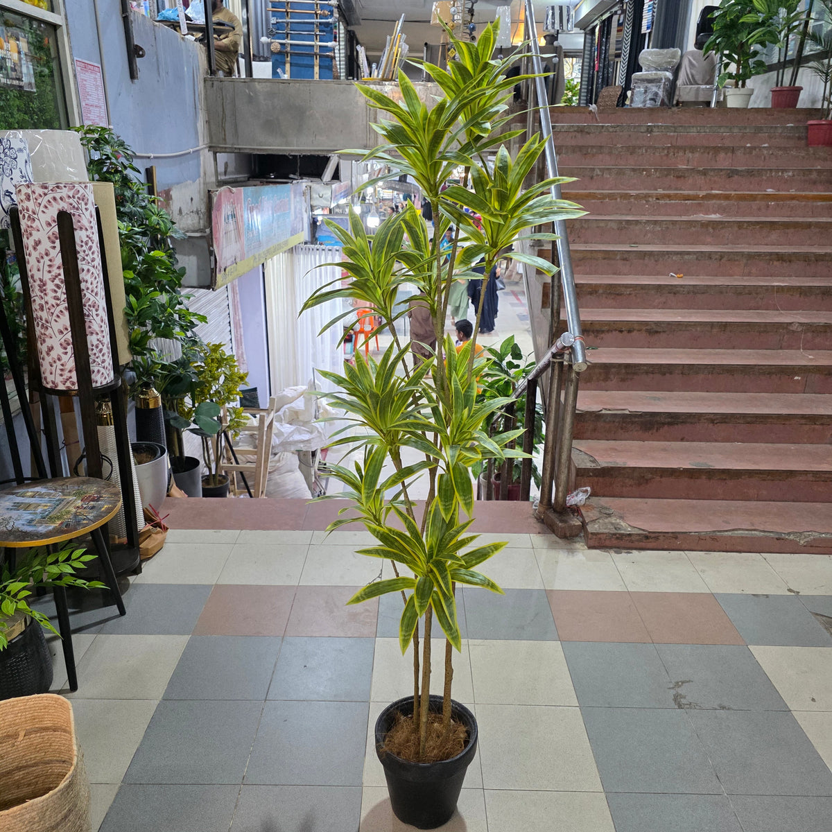 Premium 5.5ft Artificial Dracaena Plant