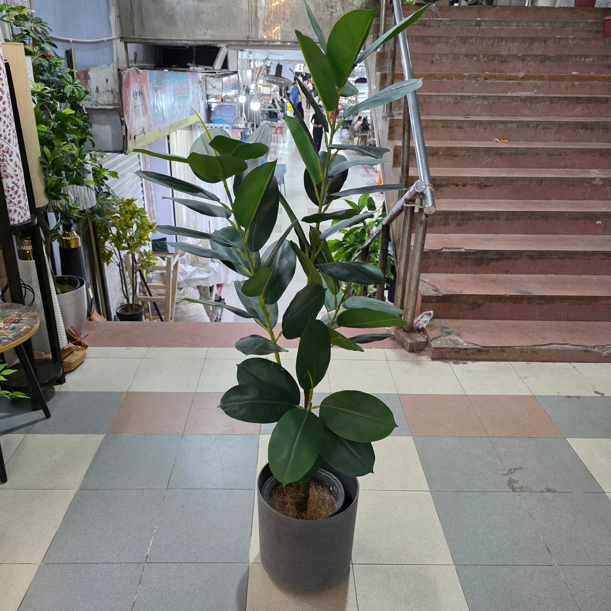 Artificial Rubber Plant 5.5ft