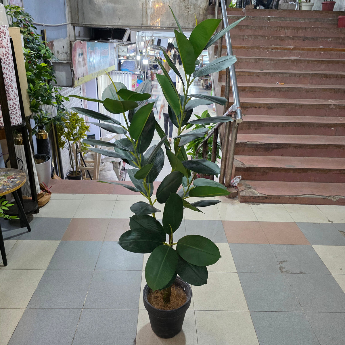Artificial Rubber Plant 5.5ft