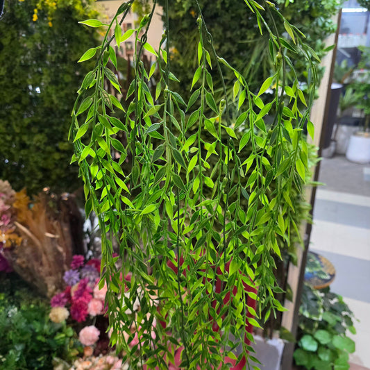 Premium Gress Hanging Creeper