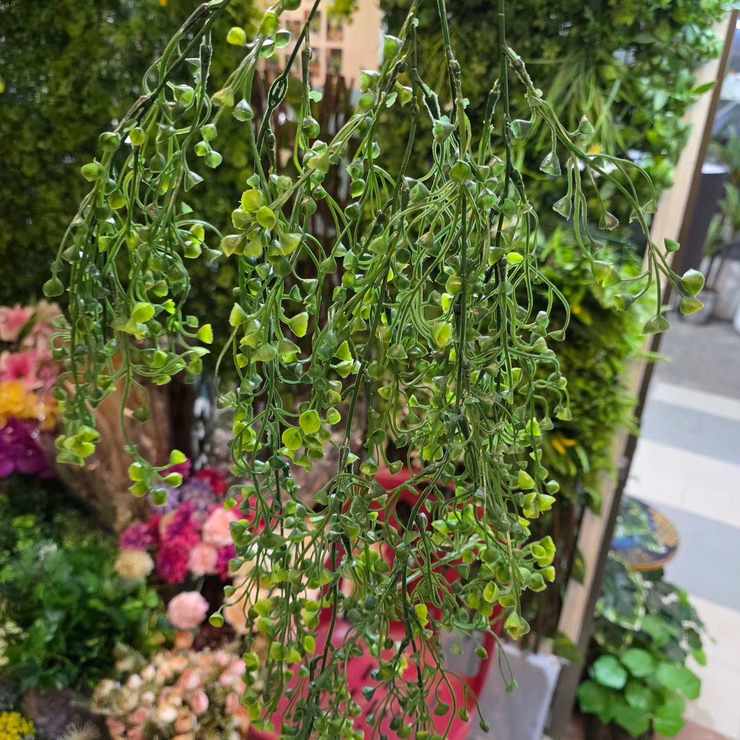 Premium Dot Green Hanging Creeper