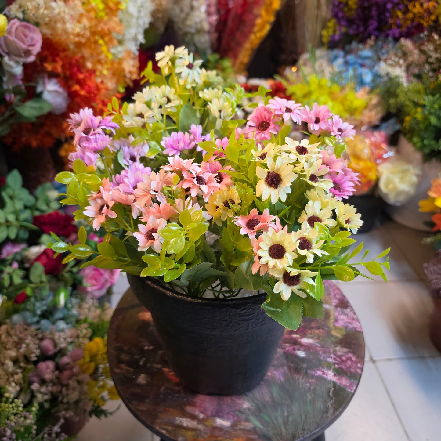 Cape Daisy Bunch