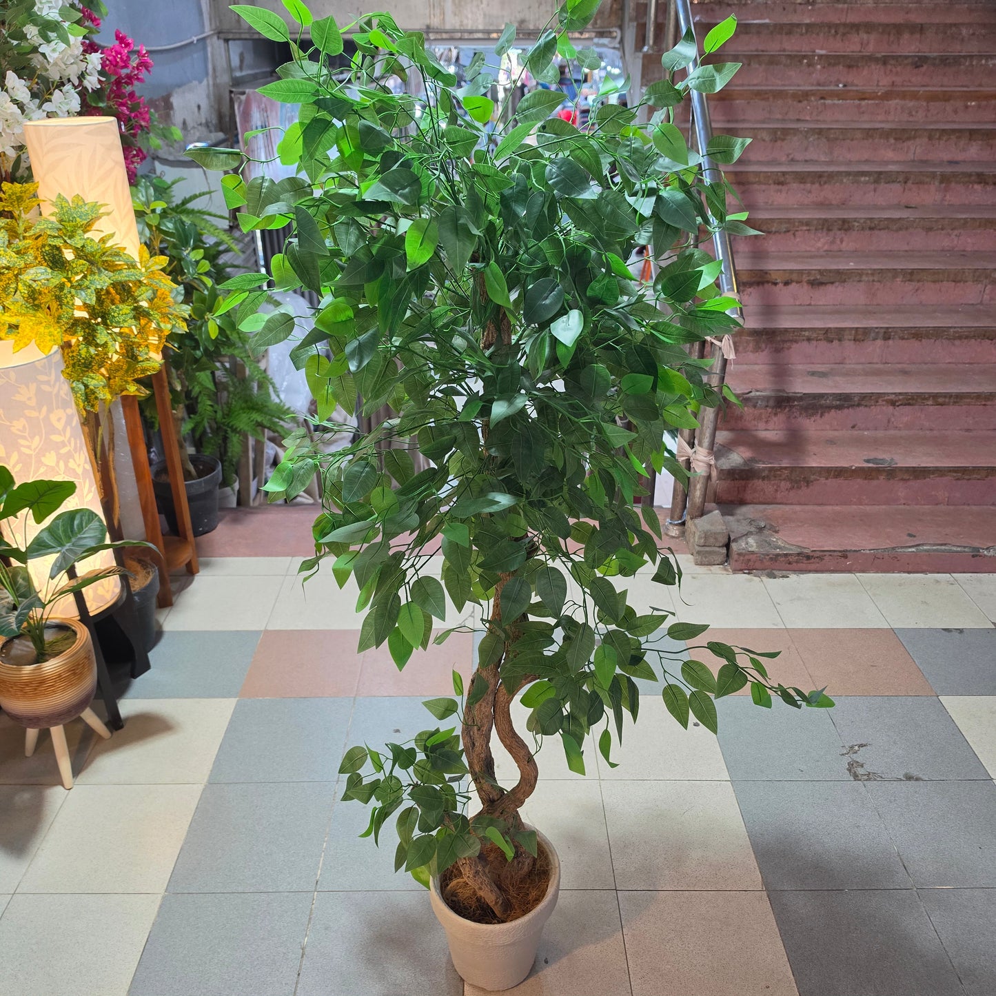 5.5ft Artificial Ficus Tree