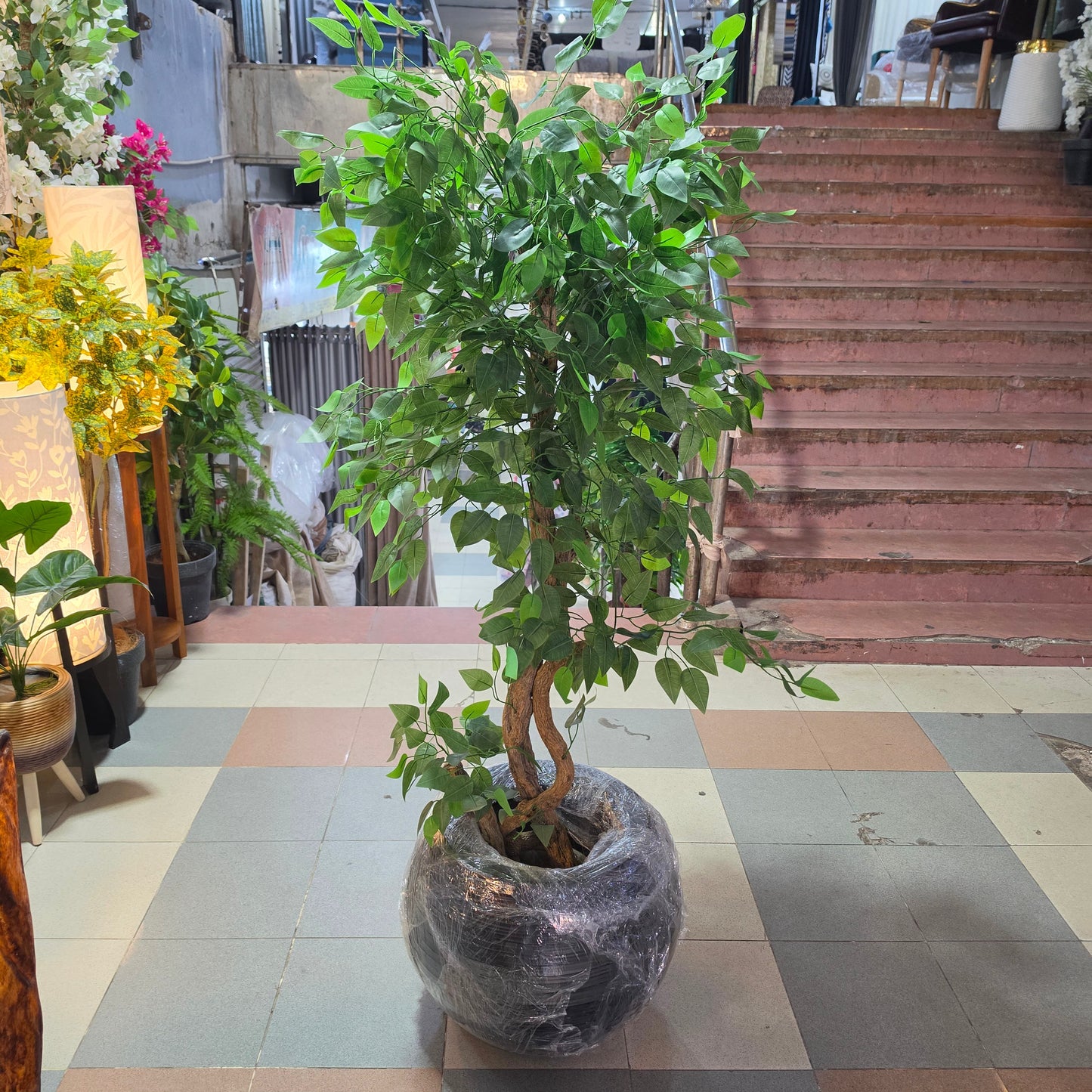 5.5ft Artificial Ficus Tree