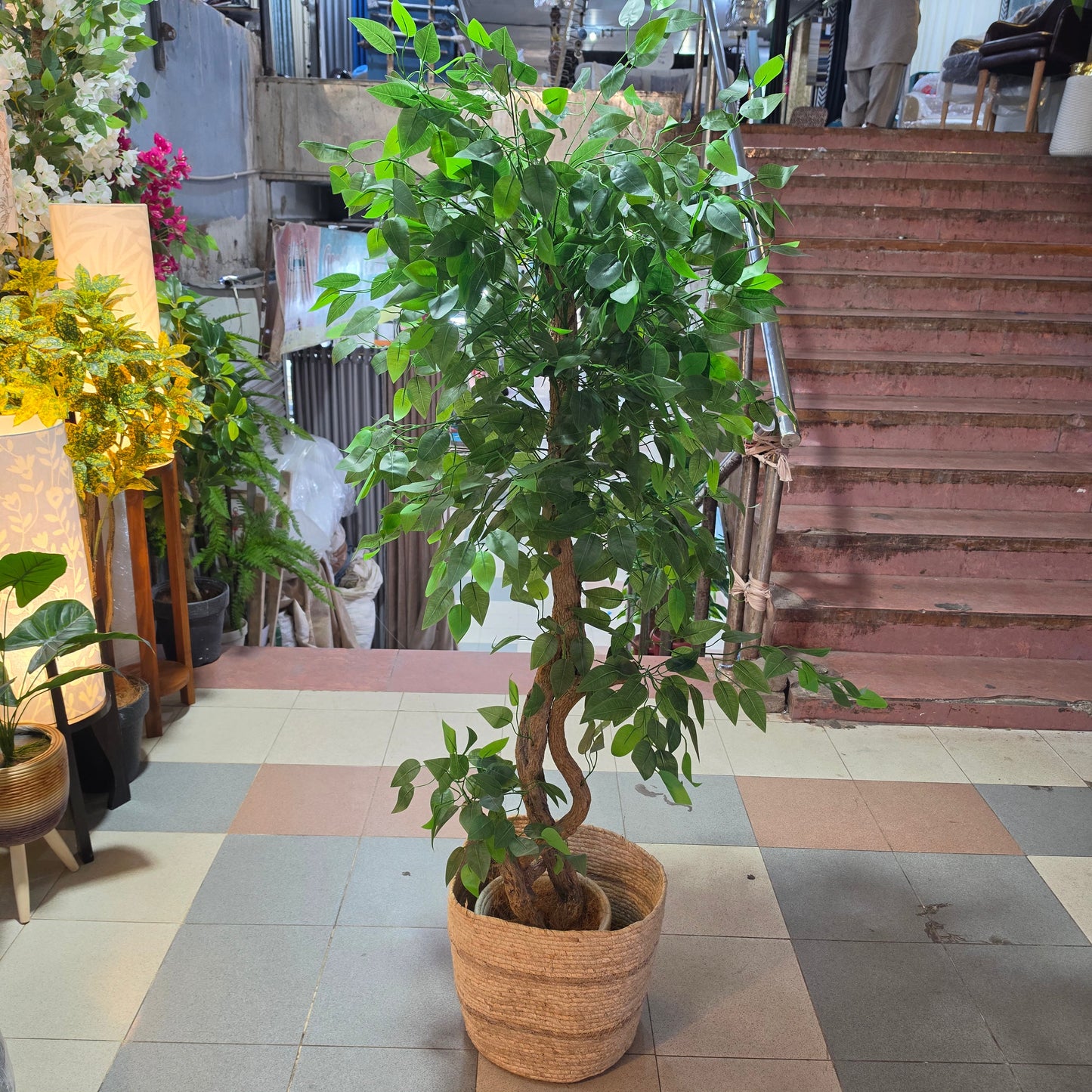 5.5ft Artificial Ficus Tree