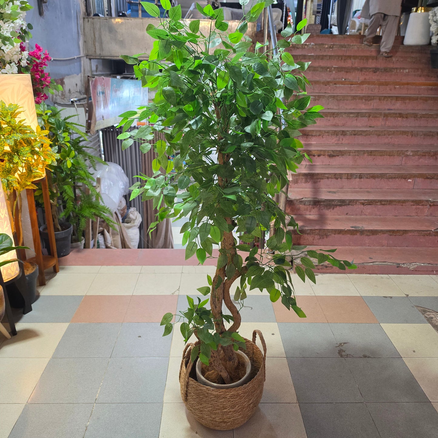 5.5ft Artificial Ficus Tree