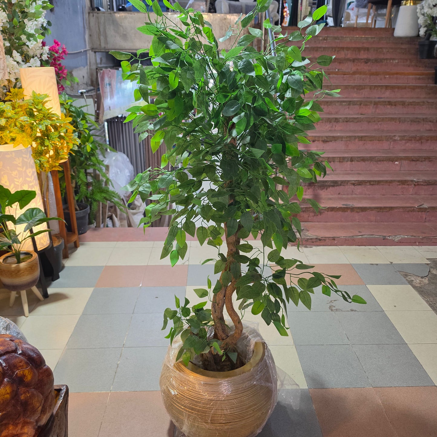 5.5ft Artificial Ficus Tree