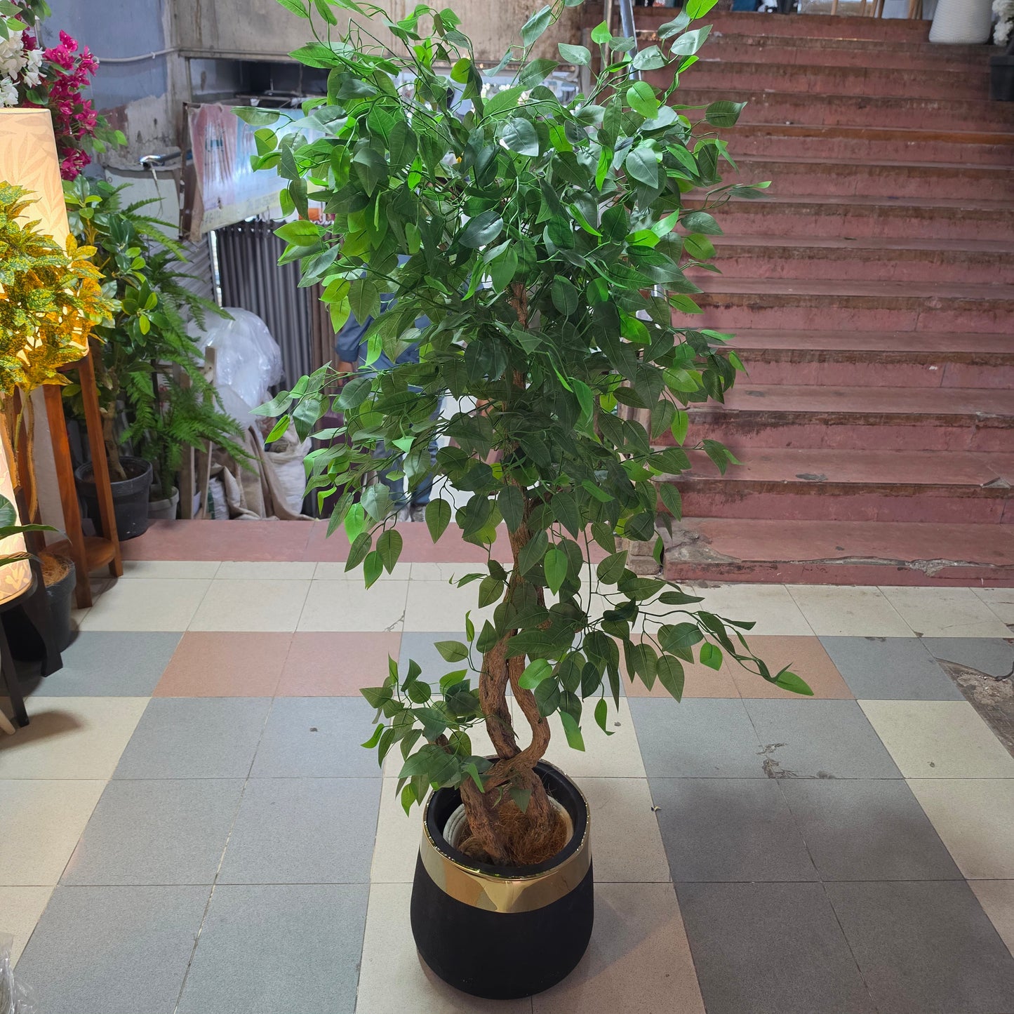 5.5ft Artificial Ficus Tree