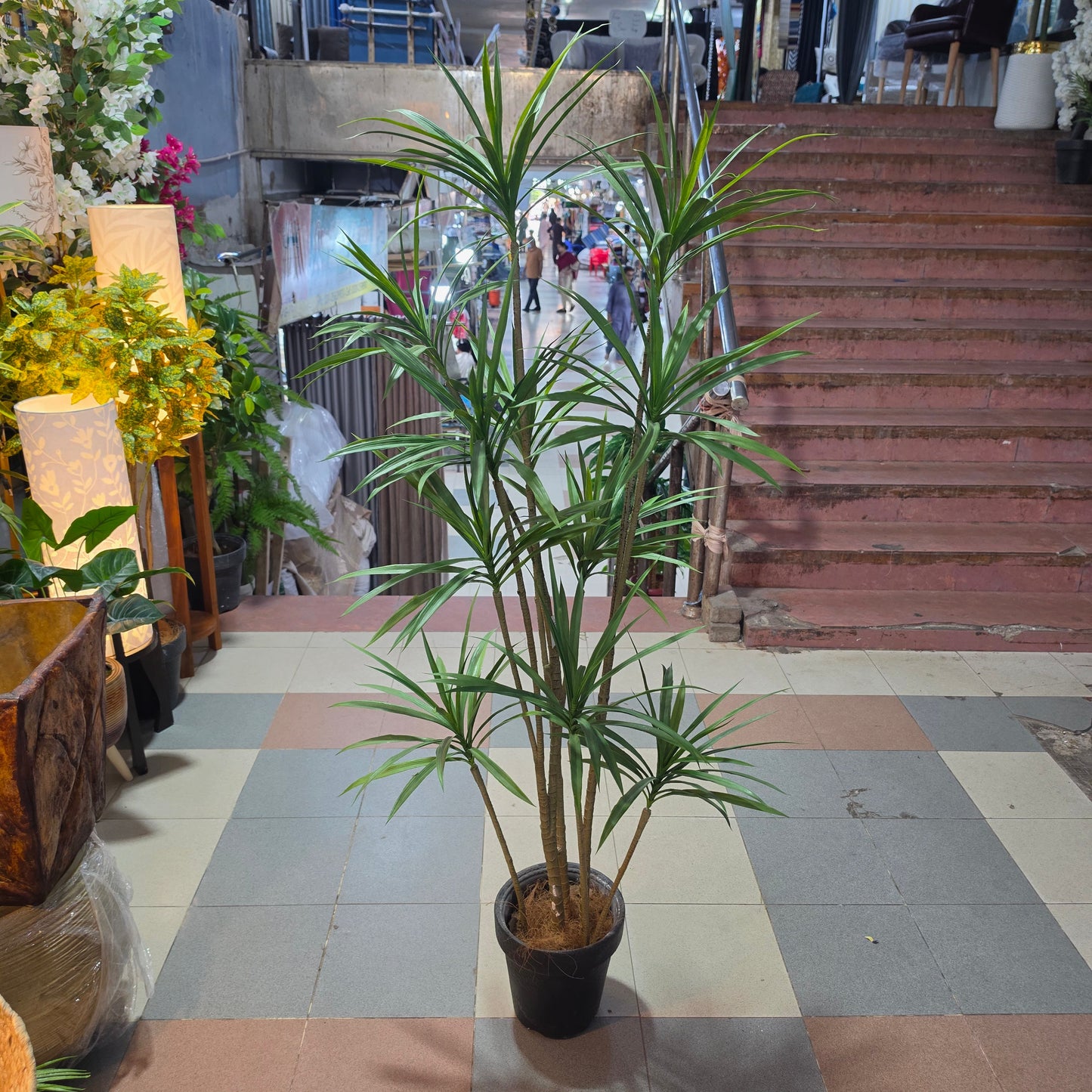 6ft Artificial Dracaena Plant