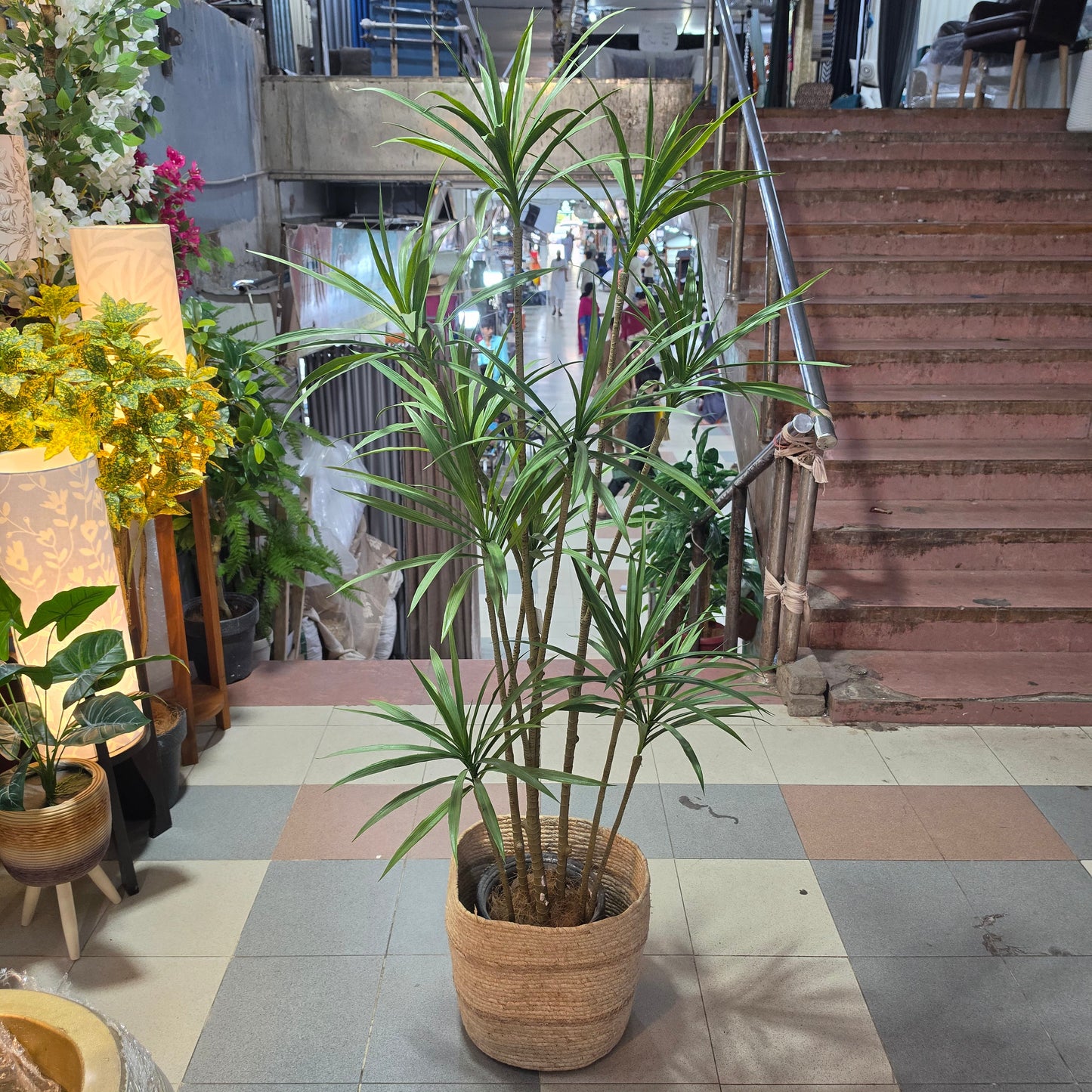 6ft Artificial Dracaena Plant