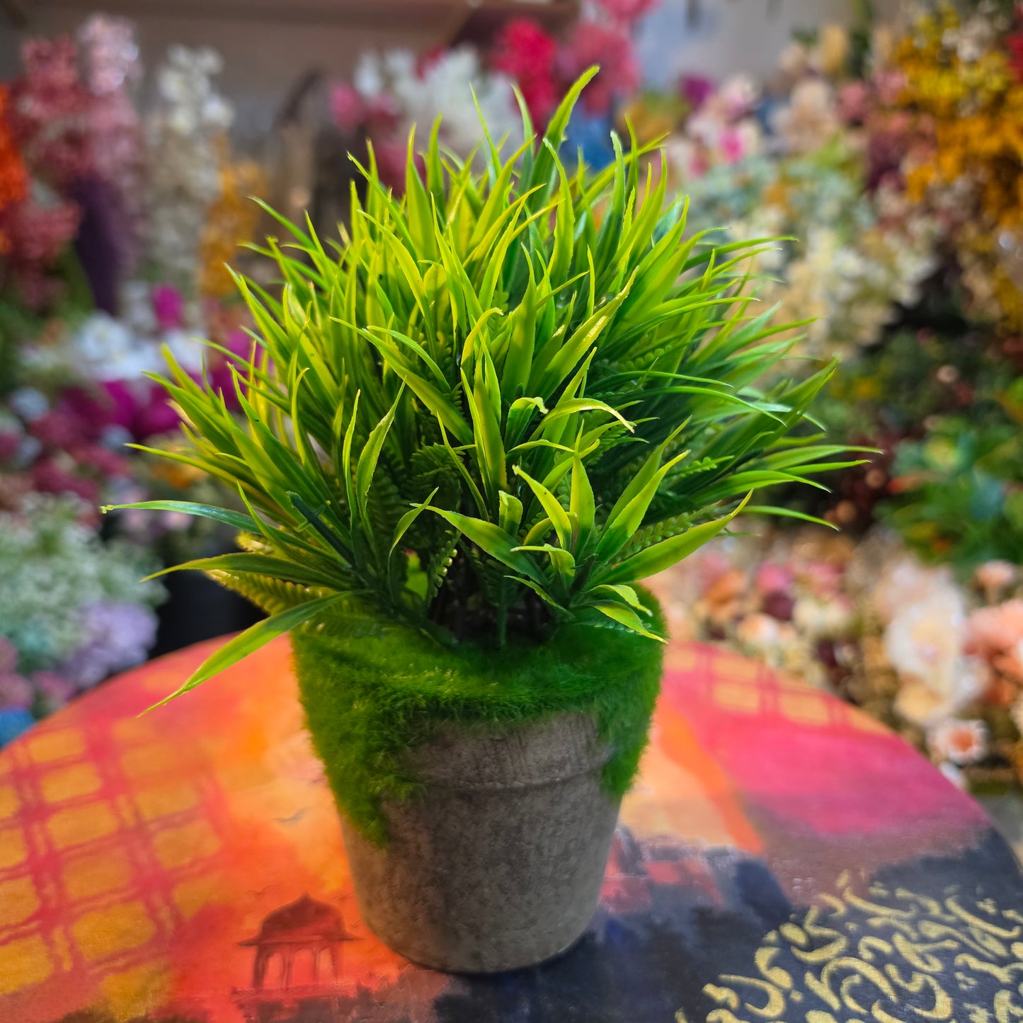 Grass Plant (Mud Pot)
