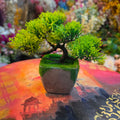 Artificial Bonsai Tree with Mud Pot
