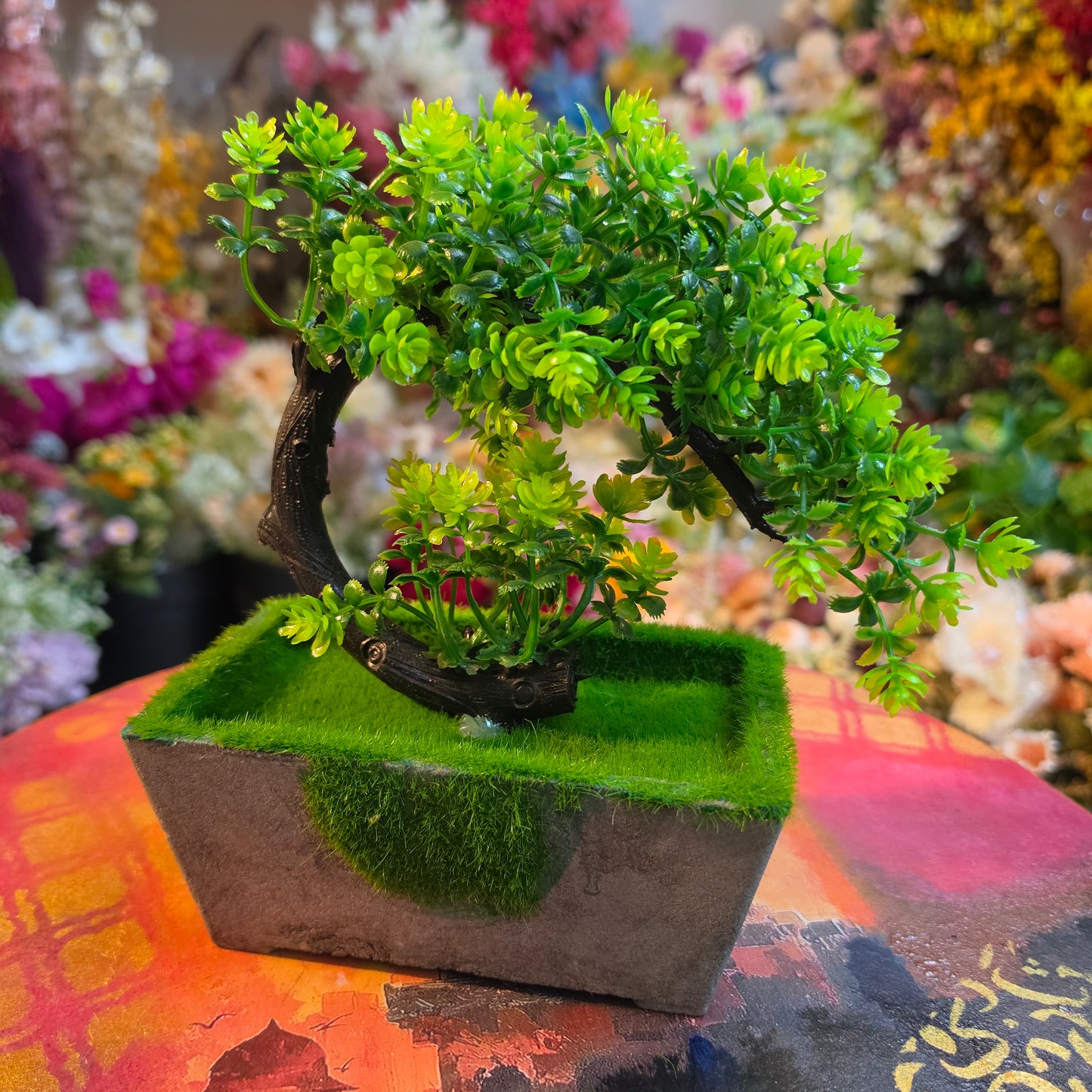 Moon Bonzai (Mud Pot)