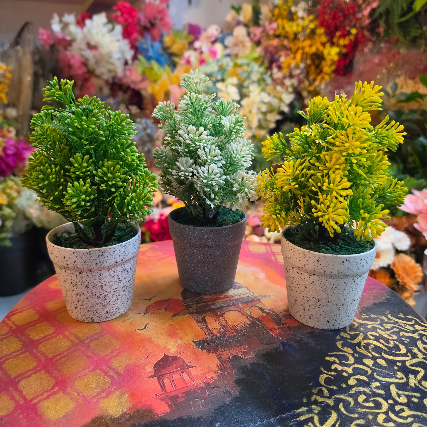 Pine Tree Succulents (Fiber Pot)