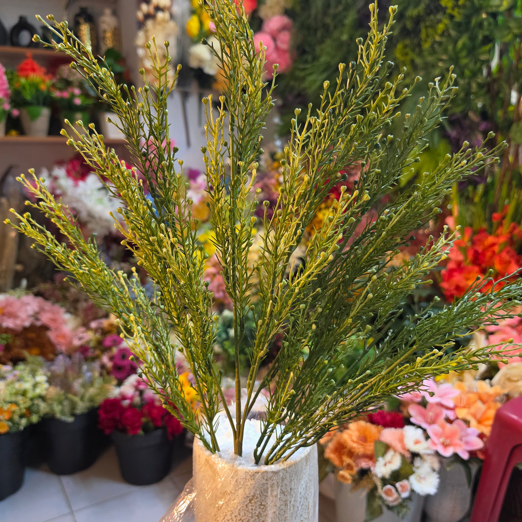 Lover Grass Bunch