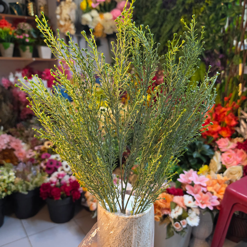 Lover Grass Bunch