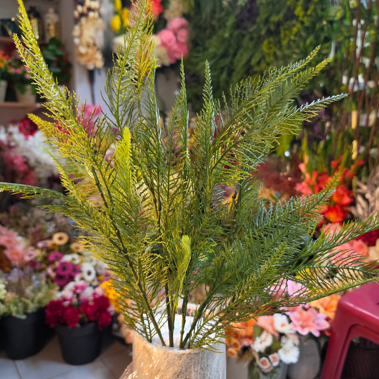 Feather Fern Bunch