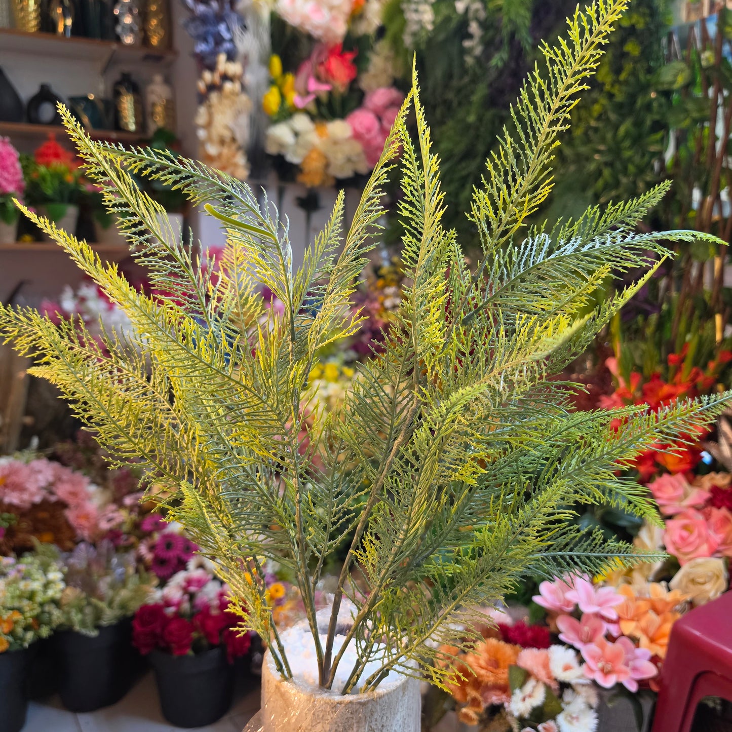Feather Fern Bunch